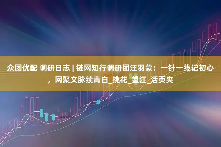 众团优配 调研日志 | 链网知行调研团汪羽蒙：一针一线记初心，网聚文脉续青白_挑花_望江_活页夹