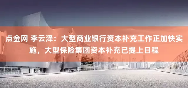 点金网 李云泽：大型商业银行资本补充工作正加快实施，大型保险集团资本补充已提上日程