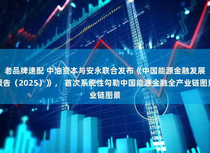 老品牌速配 中油资本与安永联合发布《中国能源金融发展报告(2025)》, 首次系统性勾勒中国能源金融全产业链图景